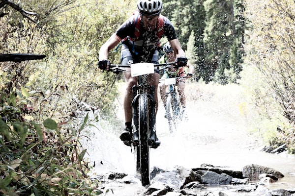 Fat tire bike